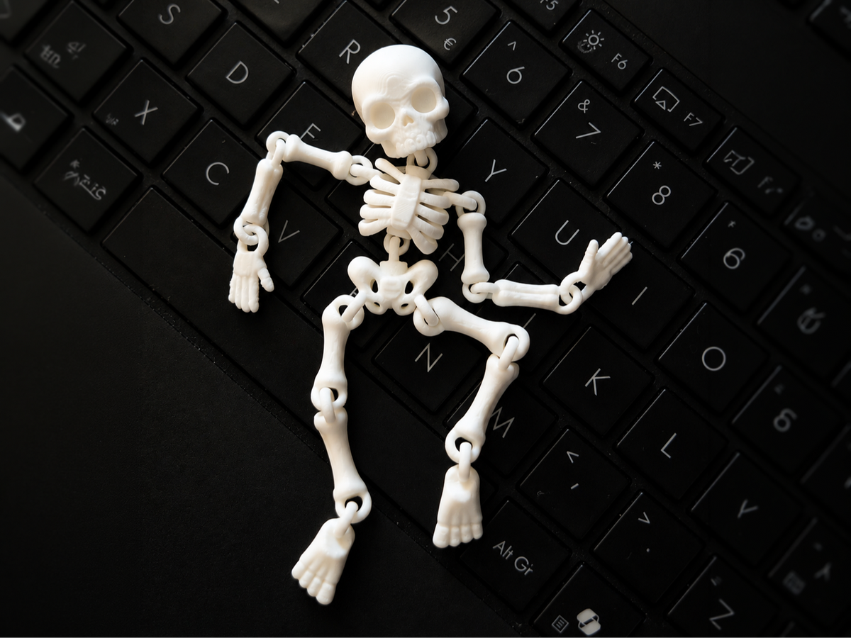 Flexi σκελετός 3D εκτυπωμένος